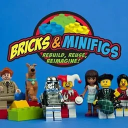 Bricks & Mini Figs