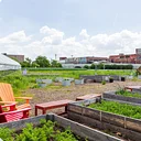 Fall Crop Planting and Care