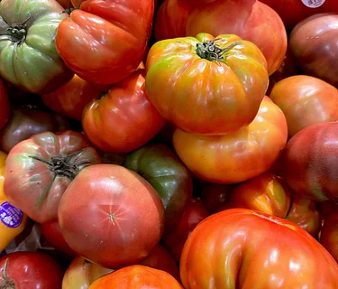 Delray Winter GreenMarket