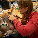 Puppetry Workshop