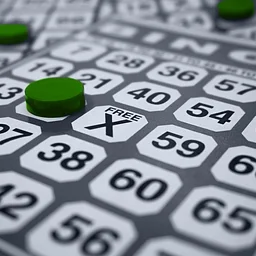 Bingo Night at The Loft
