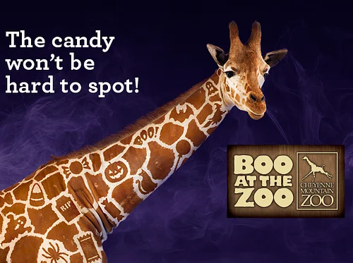 Boo at the Zoo – (October 16, 17, 23-25, 30 & 31)