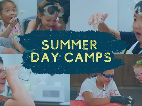 Summer Day Camps