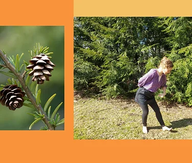 Forest Bathing & Tai Chi with Mary Hannah Parkman