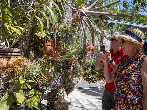 Go Public Gardens Days