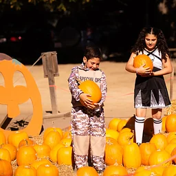 Pumpkin Party