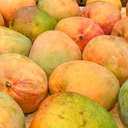 Farmers’ Market