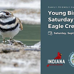 Young Birders Saturday Outing at Eagle Creek Park