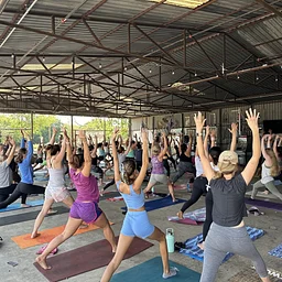 Yoga in the Beer Hall with North Texas Yoga