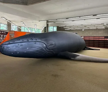 Whalemobile: A Life-sized Inflatable Whale Experience