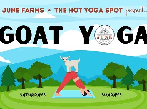 Goat Yoga