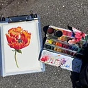 Beginner Watercolor: Paint What’s in Bloom