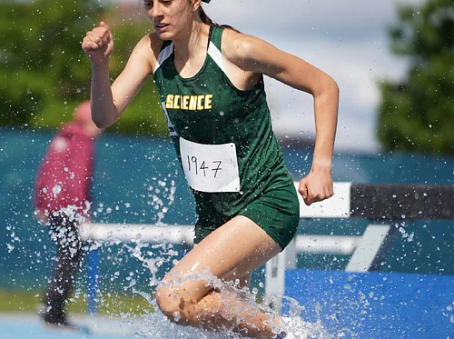 PSAL Bronx Borough Championship