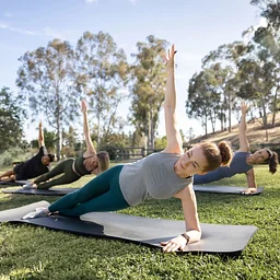 Pilates in the Wild