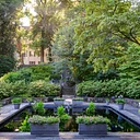 Garden & Estate Insider: Aquatic Plants of the Reflecting Pool