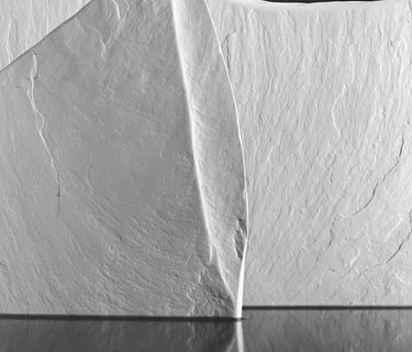 Understanding the Black & White Negative with Nick Johnson