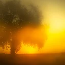 Exhibition: Todd Hido, Many Small Decisions