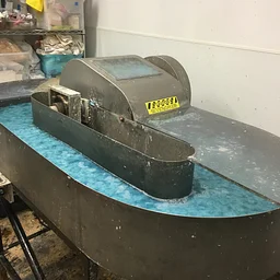 Introduction to Papermaking