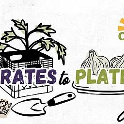 Crates to Plates! Garlic Planting & Fall Harvest