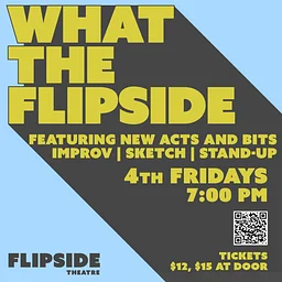 What the Flipside | Improv, Sketch & Stand-Up Comedy