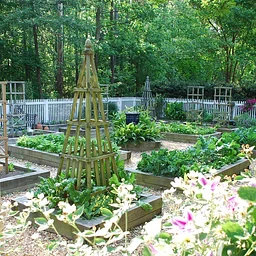 Fall in the Kitchen Garden