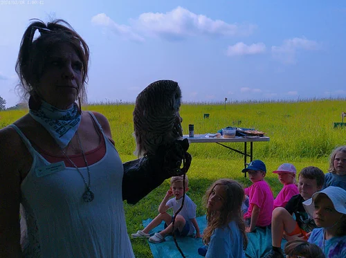 Wonder Wednesday: Raptor Mania