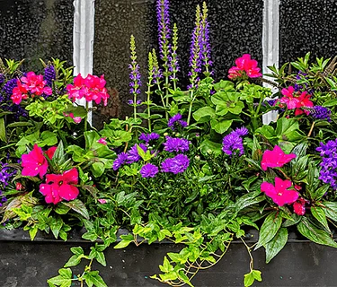 Spring/Summer Curated Containers