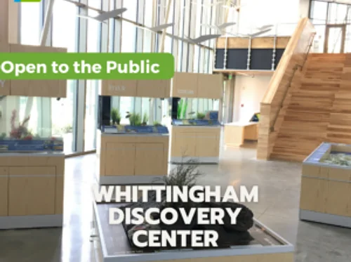 Whittingham Discovery Center
