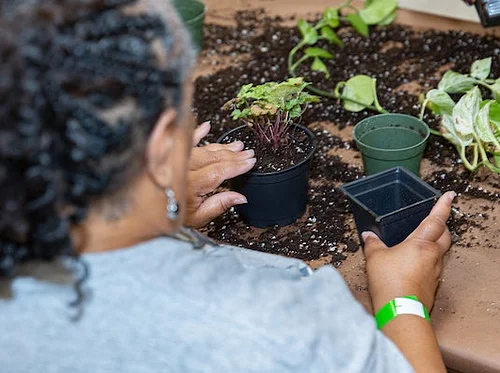 Native Plant Gardening
