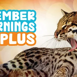 Member Mornings PLUS