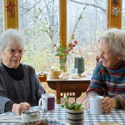  Artists In Residence: A Film Screening