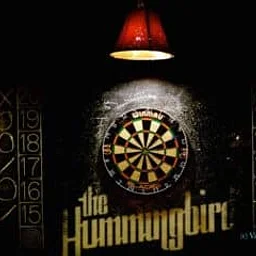 Dart Tournament