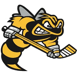 vs. Sarnia Sting