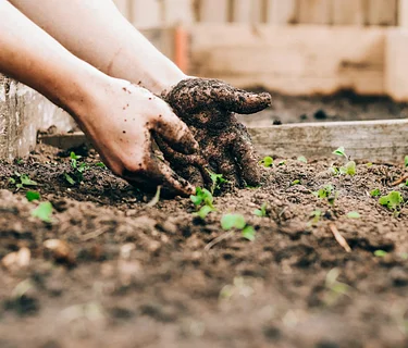 Gardening Talk with Cheshire Garden Club
