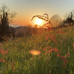 Story Hour and Craft: Gratitude & Nature Art