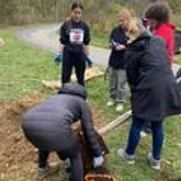 Conservation Crew: Build a Turtle Platform
