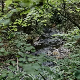 Open Park Day