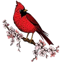 Redbird Listening Room