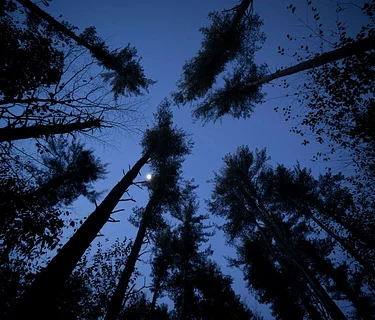 Full Moon Hike (Plymouth)