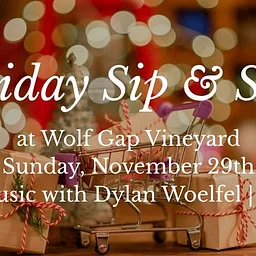 Holiday Sip & Shop with Live Music from Dylan Woelfel