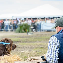 “Meet the Gundogs ” Retriever Demo