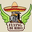 Flying Burro