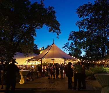 Nature at Night: Moonbeam