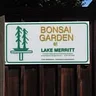 Bonsai Garden at Lake Merritt
