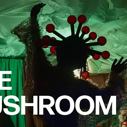 The Mushroom | Under The Radar