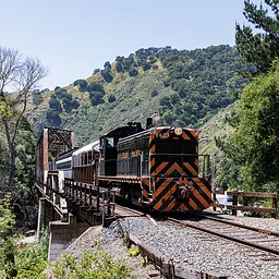 Diesel Summer Train