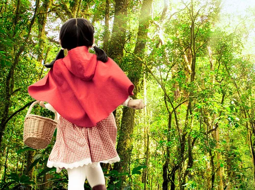 Little Red’s Most Unusual Day