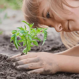 Secret Life of Seeds Student Workshop Ages 6-10