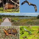 Cold Brook Wildlife Walk
