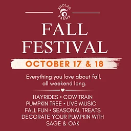 Fall Festival Weekend